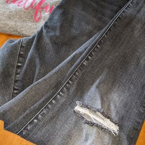Lane Bryant Super Stretch Blk Distressed Jeans sz24